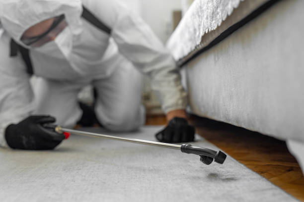 Professional Termite Control technician working in Plains, MT