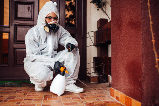 Reliable Termite Control contractor in Plains, MT by Nex Pest Control
