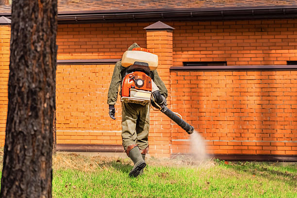 Top rated local Termite Control specialists in Plains, MT